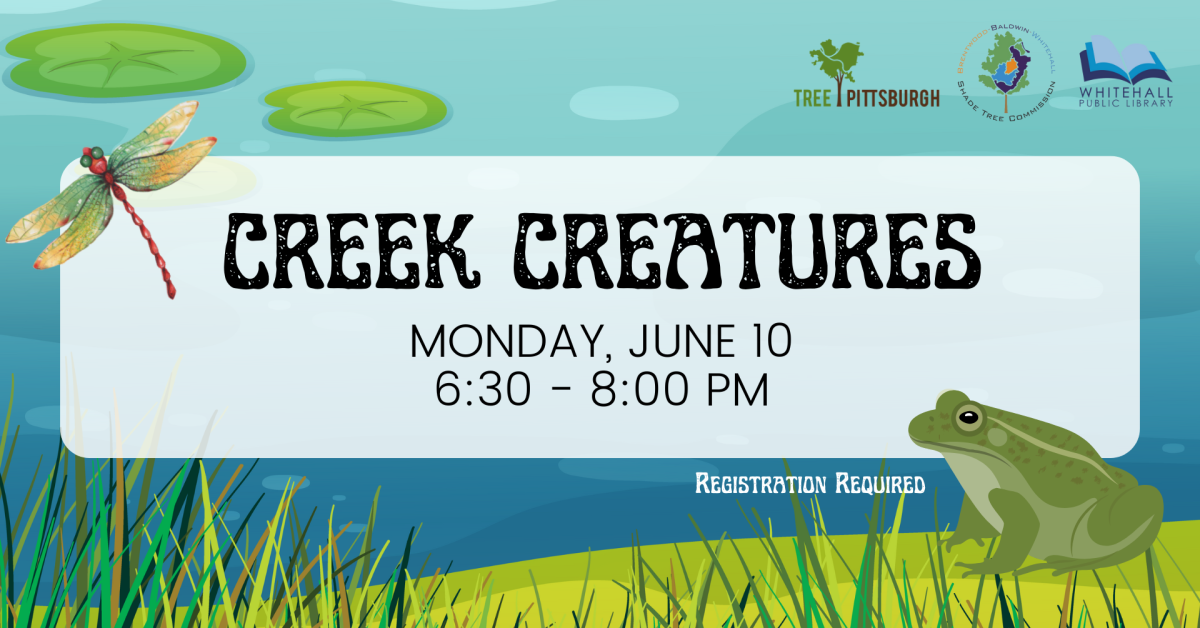 Creek Creatures