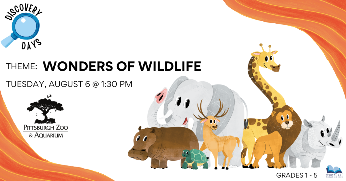 Wonders of Wildlife